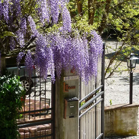 Selisa Bene Vagienna