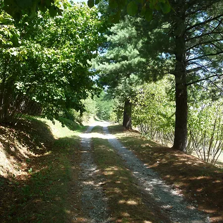 Bed & Breakfast Selisa